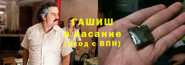 стаф Алексин