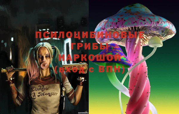 стаф Алексин