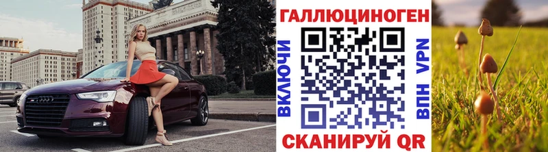 Галлюциногенные грибы Psilocybine cubensis  hydra зеркало  Прохладный 